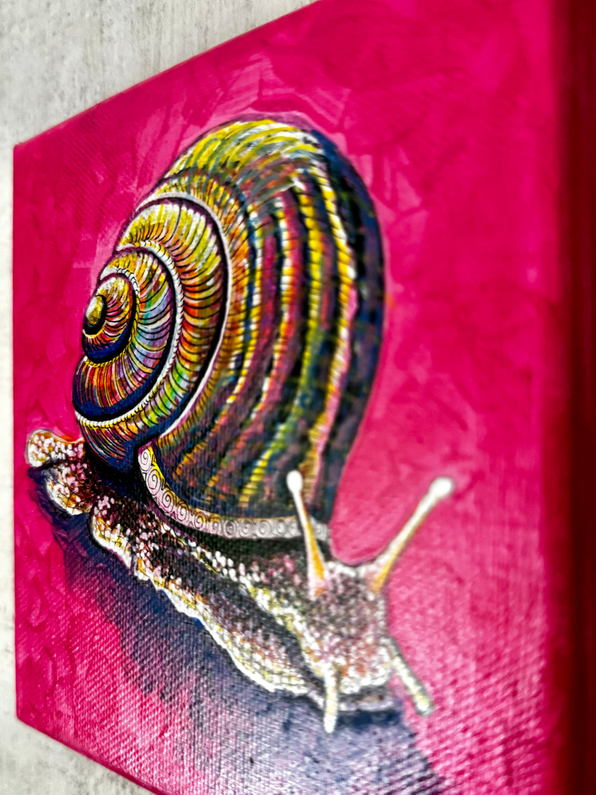 colorofoc-helix-snail-painting-original-acrylic-on-canvas-ingrida-tautkute-shell-shellanimal-animal-art-pet-cute